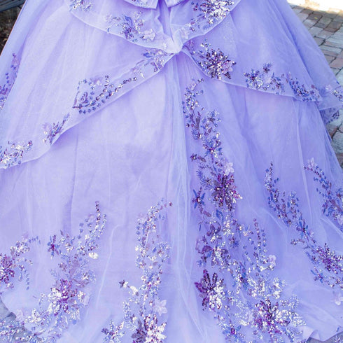 Enchanting Floral Details Quinceañera Ball Gown for Women, Sizes 4/XS-16/3X